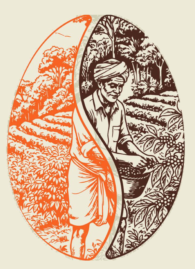 India — Plantation AA